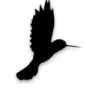 Colibri Colibri