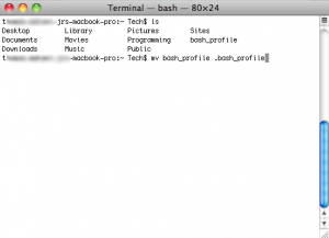 ssMvTerm1 MV Command