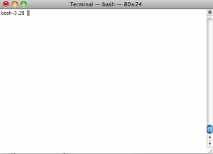 ssTerm2 Clean Bash Prompt