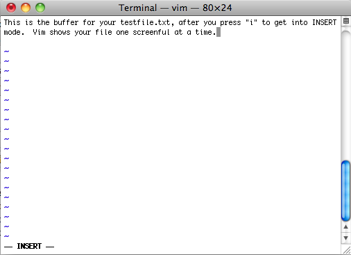 ssVim2 Vim Buffer