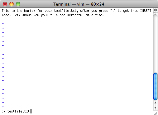 ssVimSv1 Write Command