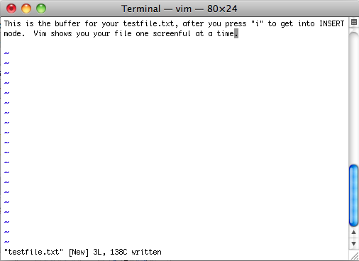 ssVimSv2 File Saved